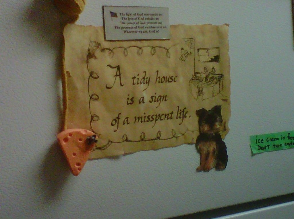 ATidyHouse