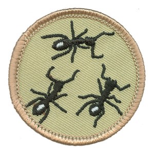 Ant Patrol Badge